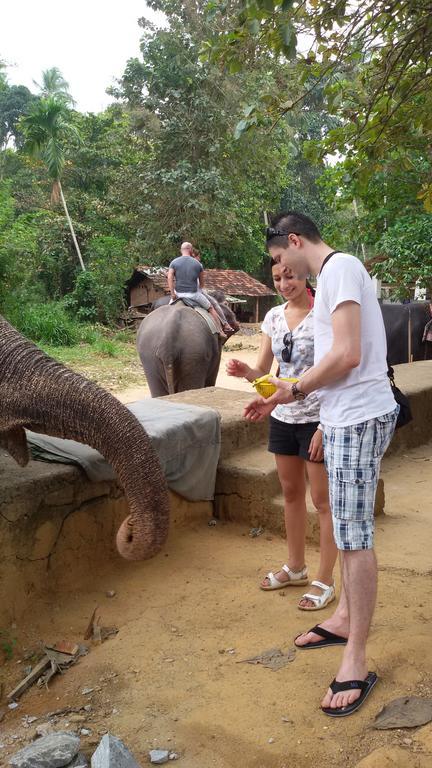 Suwani Pinnawala Homestay 외부 사진