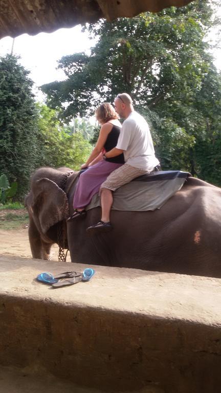 Suwani Pinnawala Homestay 외부 사진