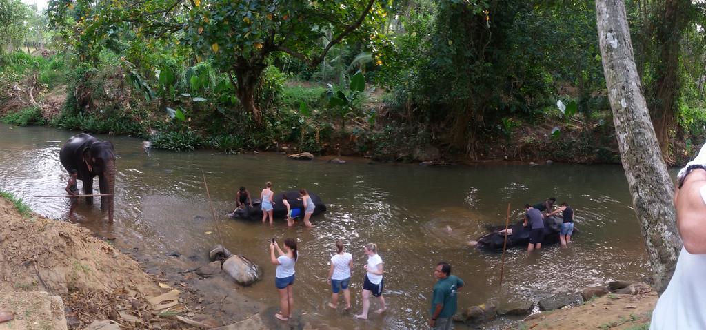 Suwani Pinnawala Homestay 외부 사진