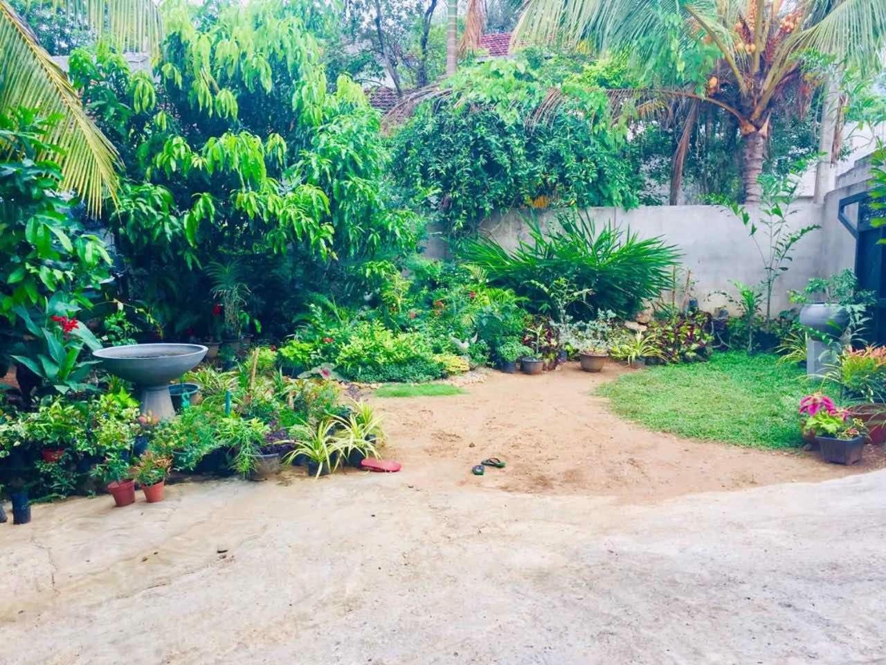 Suwani Pinnawala Homestay 외부 사진